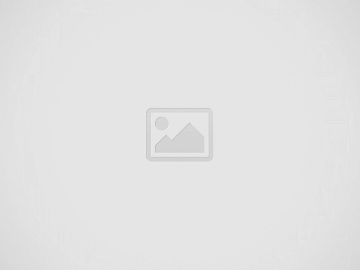 Hundefutter Online