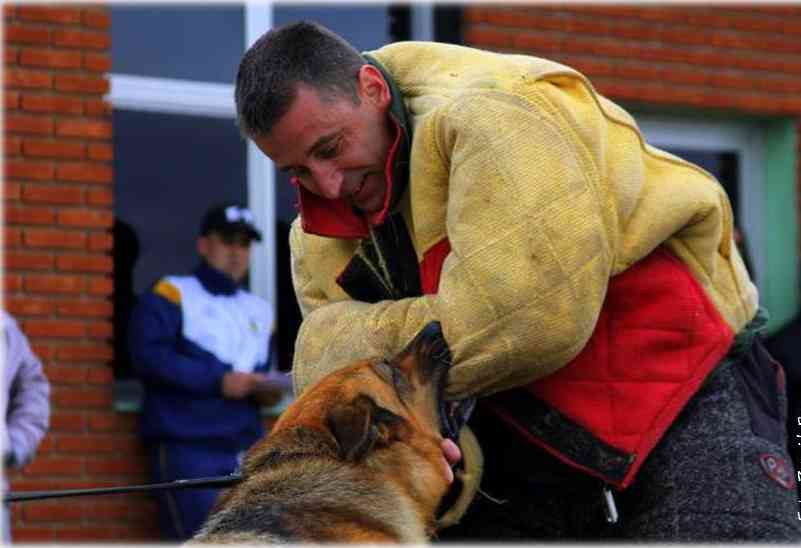 hundeschule-duesseldorf